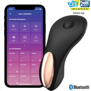 Satisfyer Little Secret Panty Vibrator 4061504003344